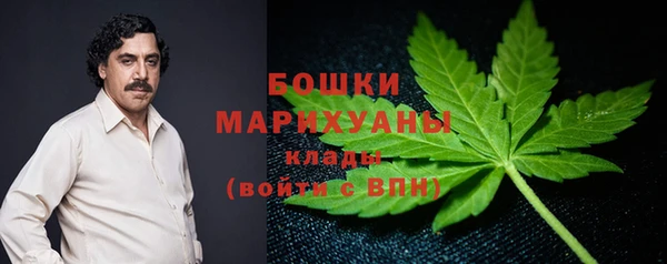 PSILOCYBIN Абдулино
