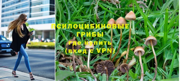 кокаин колумбия Алексин