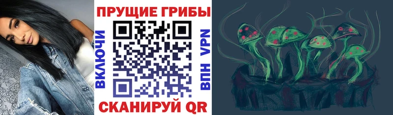 где можно купить   Саранск  Псилоцибиновые грибы GOLDEN TEACHER 